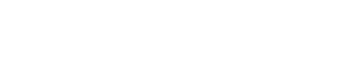 Mad Web Skills